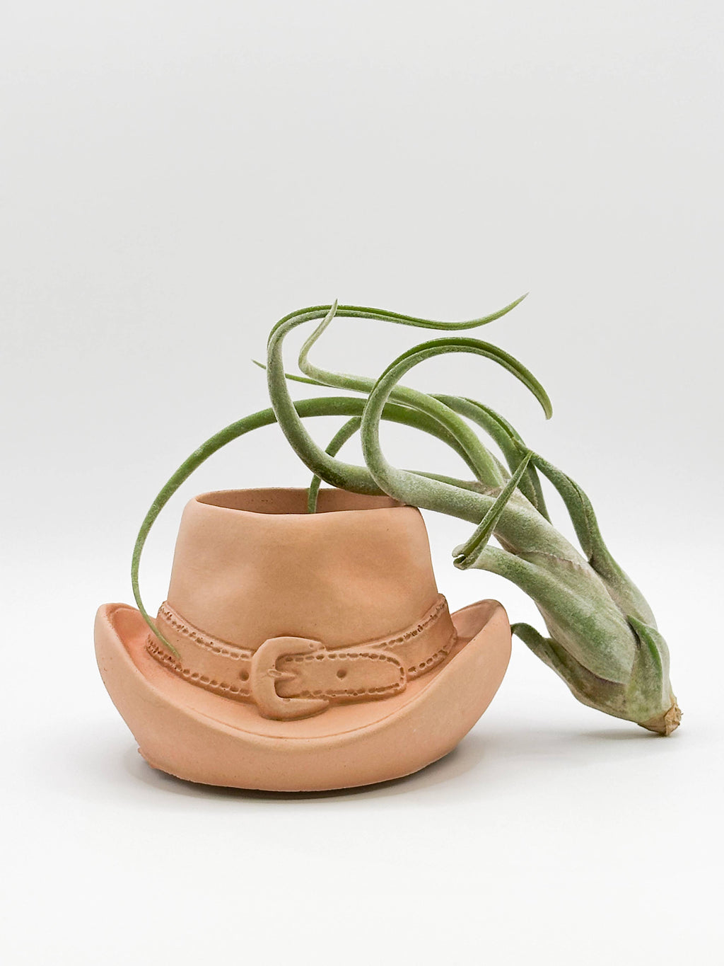 Cowboy Hat Concrete Planter | Western Cowgirl Plant Pot