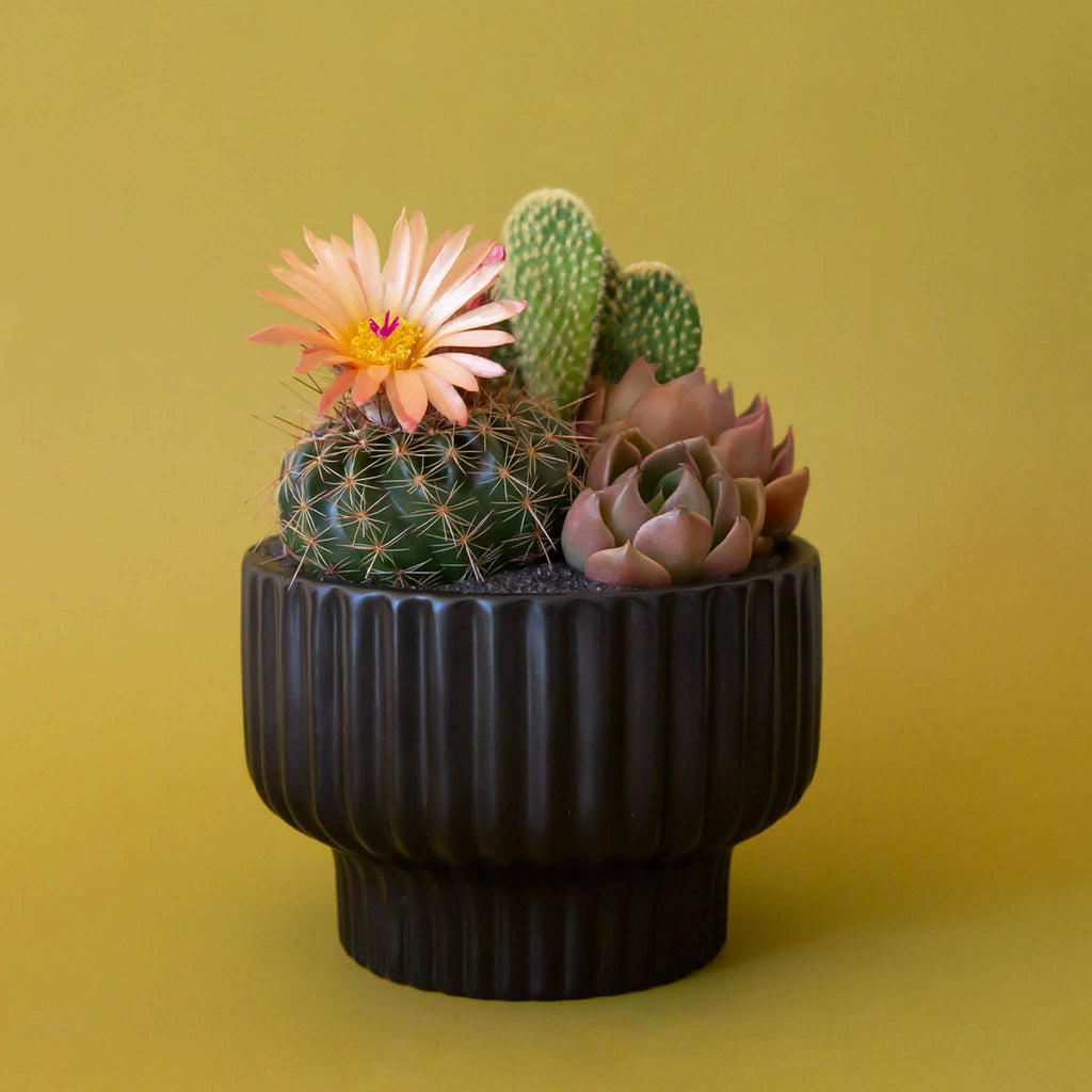 Presley Pedestal Planter | Black
