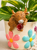 Highland cow wine plant buddy