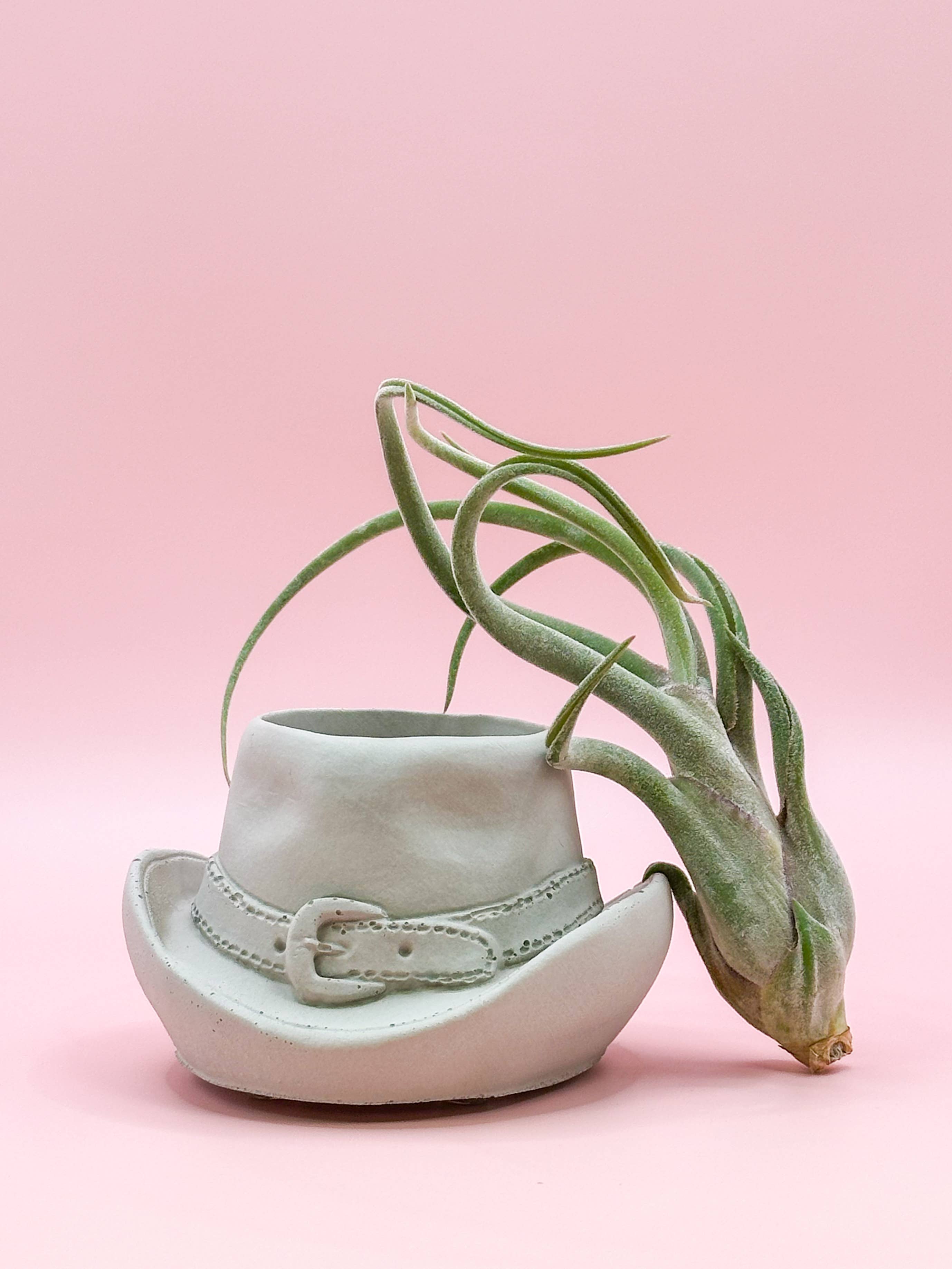 Cowboy Hat Concrete Planter | Western Cowgirl Plant Pot