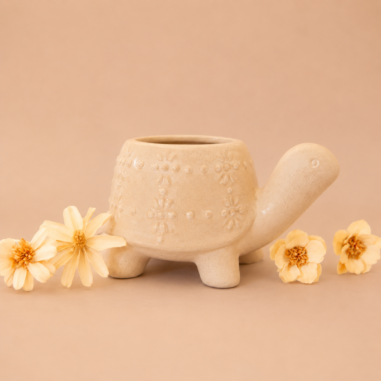 Turtle Planter | Sand