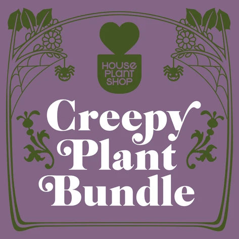 Creepy Plant Bundle!