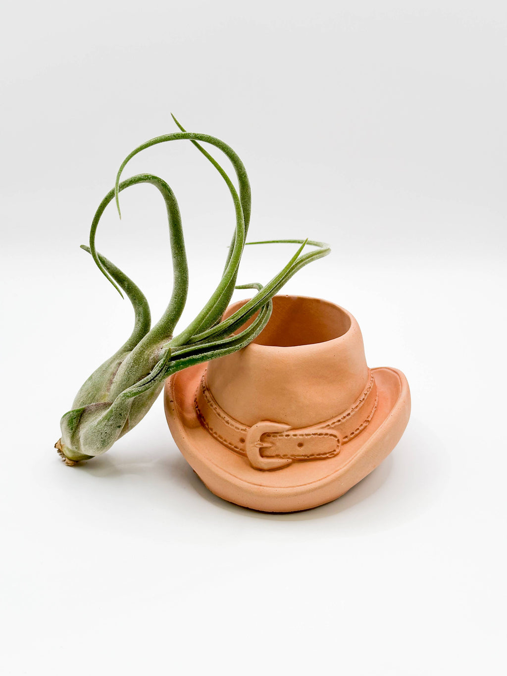 Cowboy Hat Concrete Planter | Western Cowgirl Plant Pot