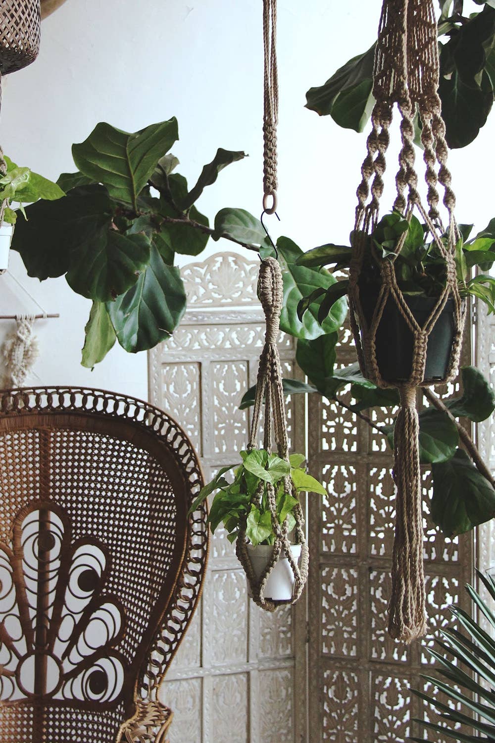 Coffee Brown Plant Hanger - Ideal for Trailing Houseplants